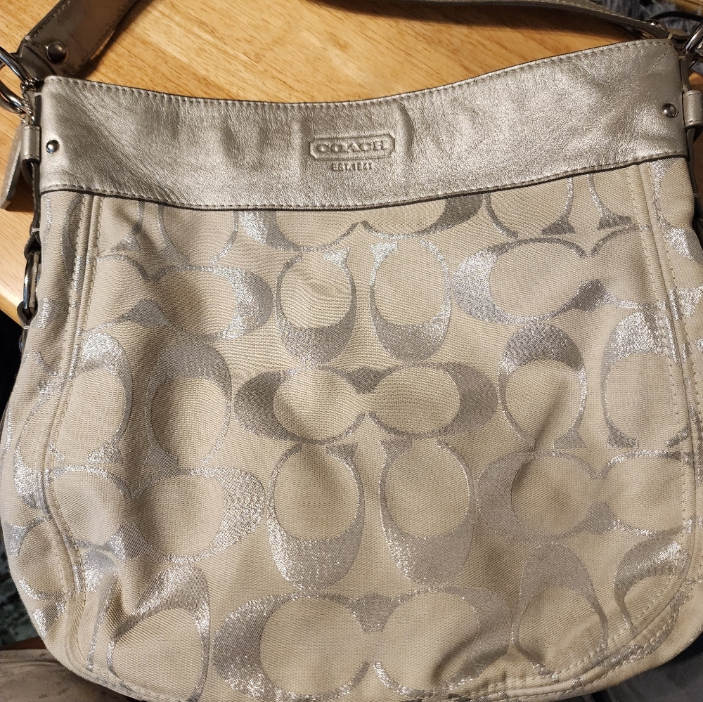 Authentic Silver Coach - image 2